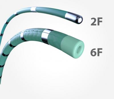 EPstar Fixed Electrophysiology Catheters